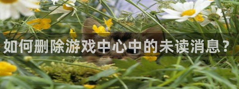 鼎点娱乐2登录：如何删除游戏中心中的未读消息？