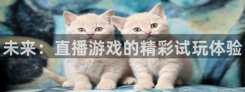 鼎点娱乐官方注册登录：未来：直播游戏的精彩试玩体验