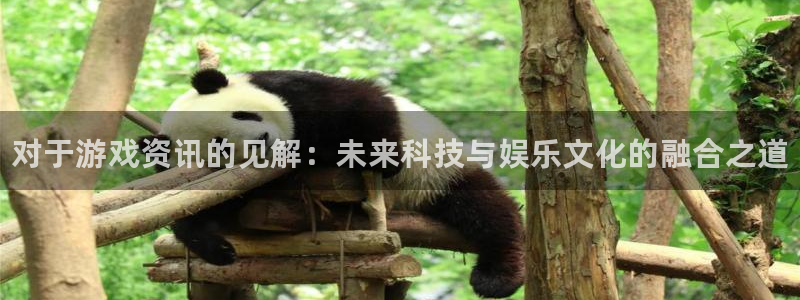 鼎点娱乐平台负责人：对于游戏资讯的见解：未来科技与娱乐文化的