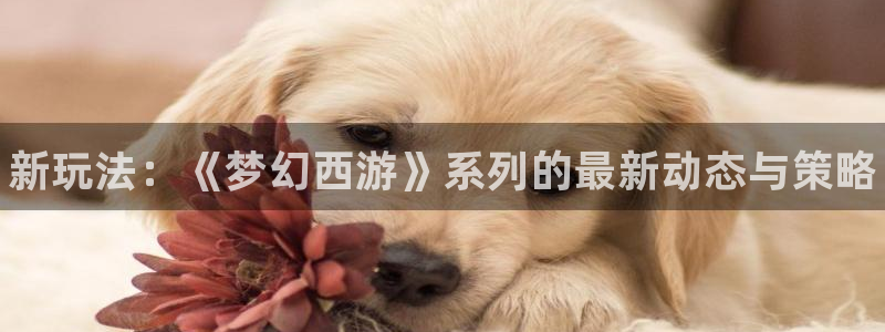 鼎点娱乐平台登录：新玩法：《梦幻西游》系列的最新动态与策略