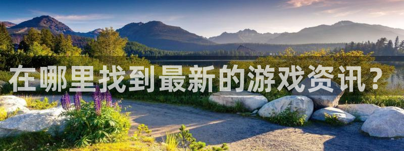 鼎点娱乐登录网址：在哪里找到最新的游戏资讯？