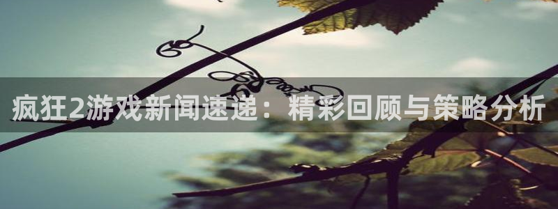 鼎点娱乐咨询