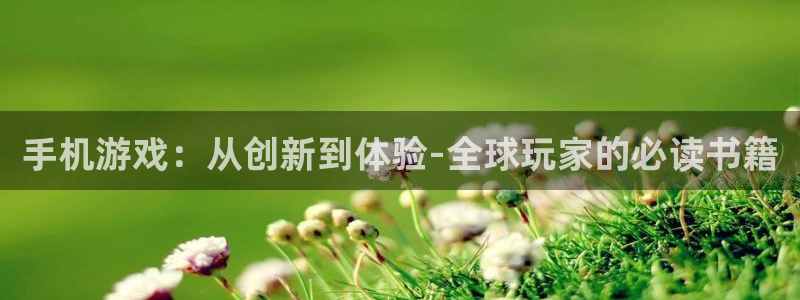 鼎点娱乐平台官方网站：手机游戏：从创新到体验-全球玩家的必读