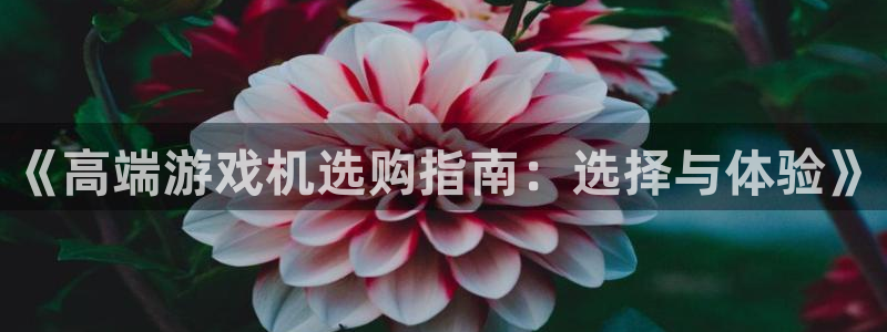 鼎点娱乐4主管：《高端游戏机选购指南：选择与体验》