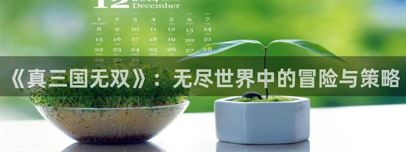 鼎点娱乐2首页登录：《真三国无双》：无尽世界中的冒险与策略