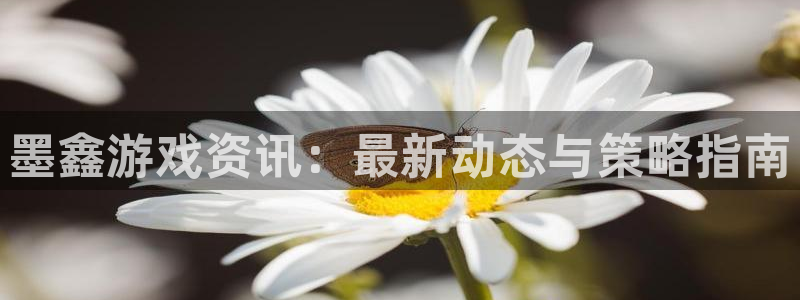 鼎点娱乐登陆测速：墨鑫游戏资讯：最新动态与策略指南