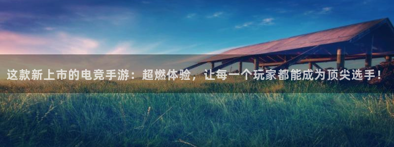 鼎点娱乐官网登录：这款新上市的电竞手游：超燃体验，让每一个玩