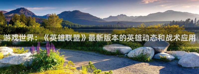 鼎点娱乐平台官网登录：游戏世界：《英雄联盟》最新版本的英雄动