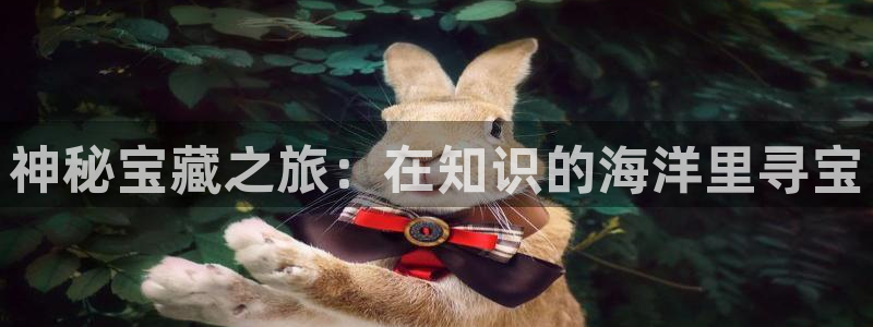 鼎点娱乐平台官网客服电话：神秘宝藏之旅：在知识的海洋里寻宝