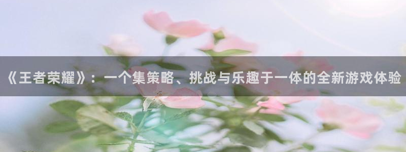 鼎点娱乐app下载安装最新版本苹果