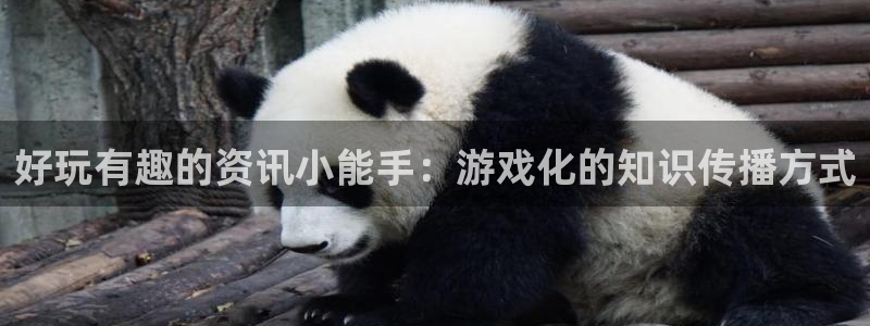鼎点娱乐官网下载入口