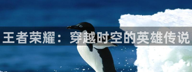 鼎点娱乐负责人怎么样