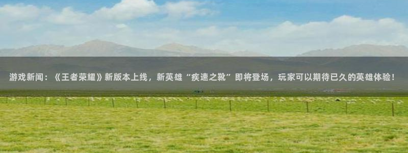 鼎点娱乐发布会