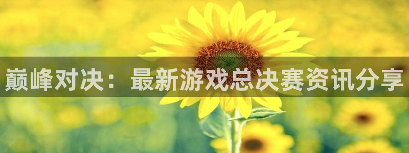 鼎点招商21h判官333oo