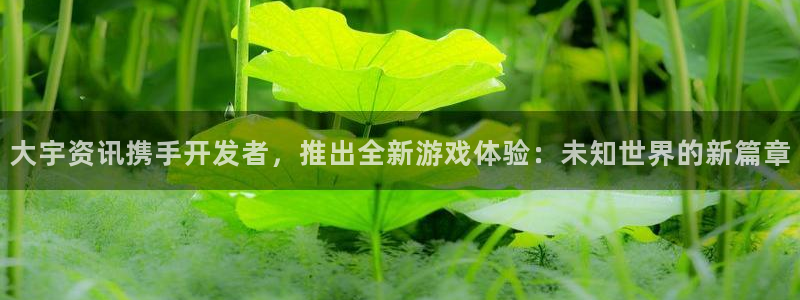 鼎点娱乐app下载安装最新版本