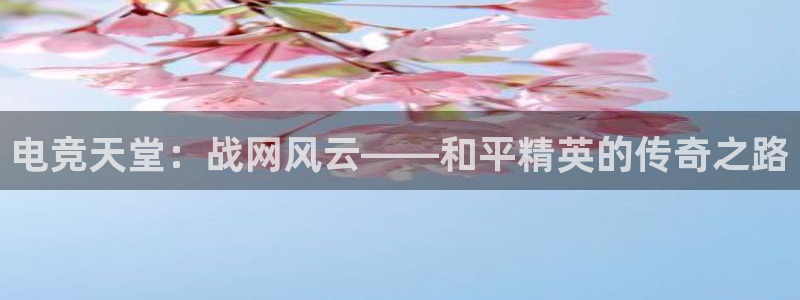 鼎点娱乐在线测速：电竞天堂：战网风云——和平精英的传奇之路
